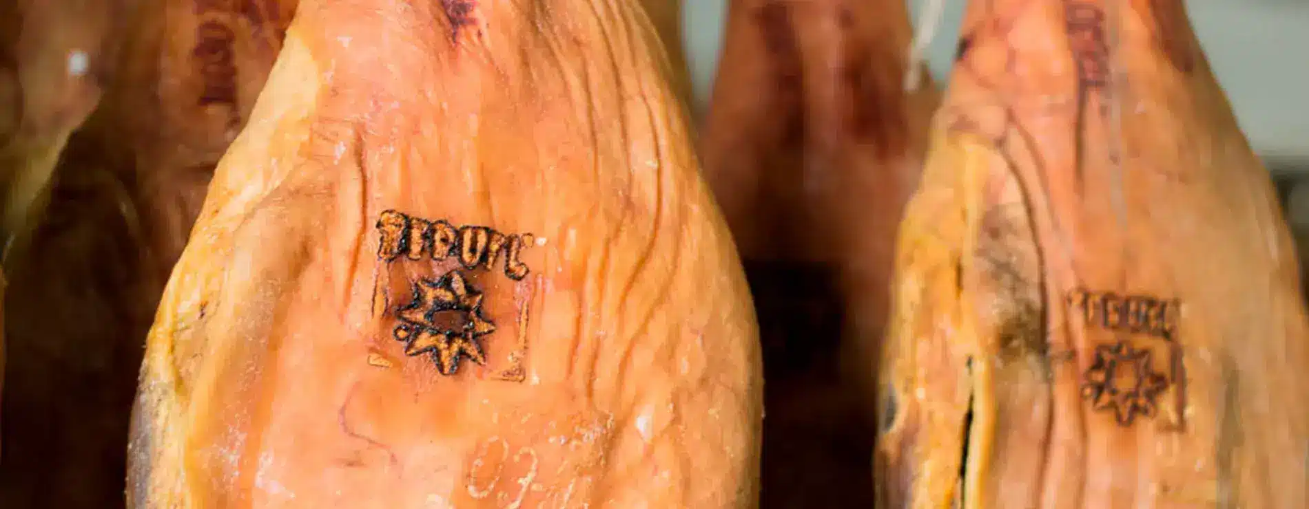 Sello teruel calidad